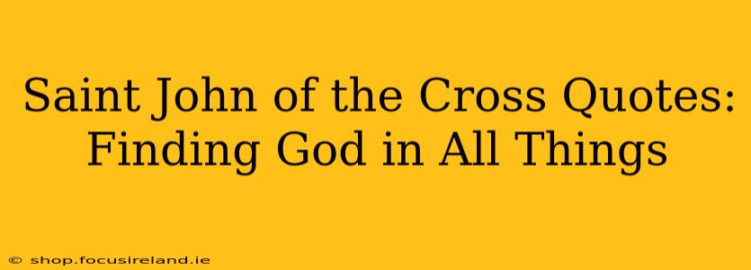 Saint John of the Cross Quotes: Finding God in All Things