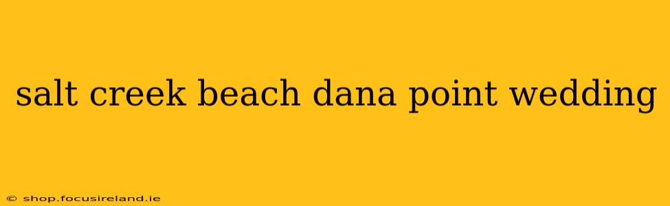 salt creek beach dana point wedding