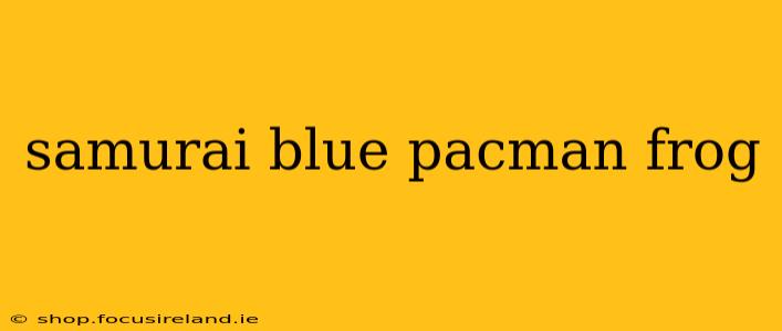 samurai blue pacman frog