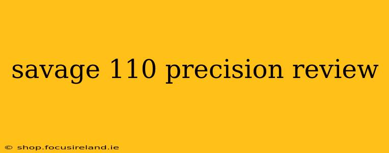 savage 110 precision review