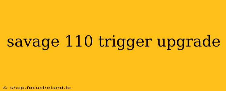 savage 110 trigger upgrade