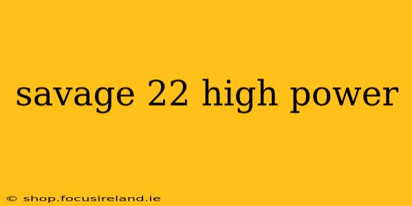 savage 22 high power