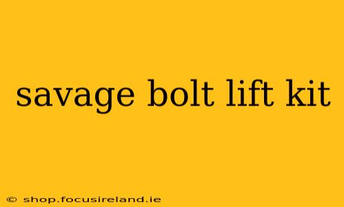 savage bolt lift kit