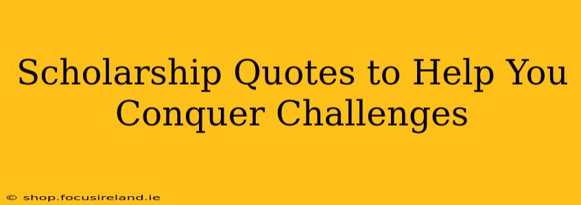 Scholarship Quotes to Help You Conquer Challenges