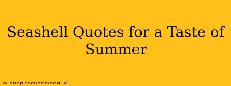 Seashell Quotes for a Taste of Summer