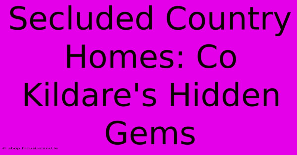 Secluded Country Homes: Co Kildare's Hidden Gems