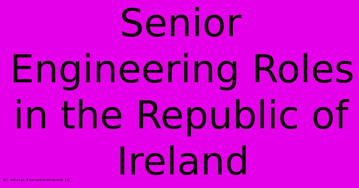 Senior Engineering Roles In The Republic Of Ireland