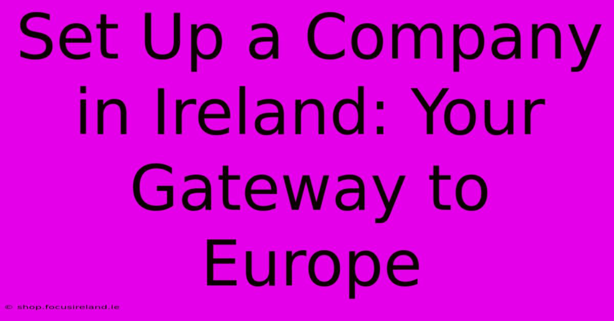 Set Up A Company In Ireland: Your Gateway To Europe