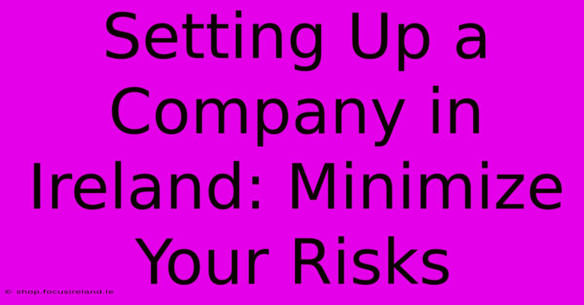 Setting Up A Company In Ireland: Minimize Your Risks