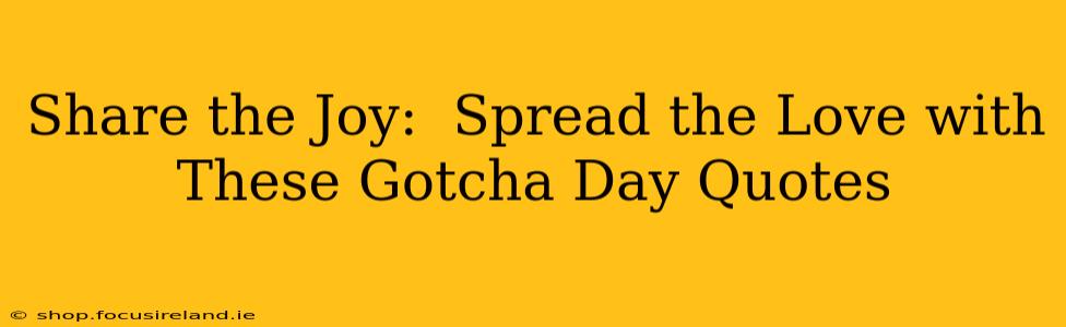 Share the Joy:  Spread the Love with These Gotcha Day Quotes