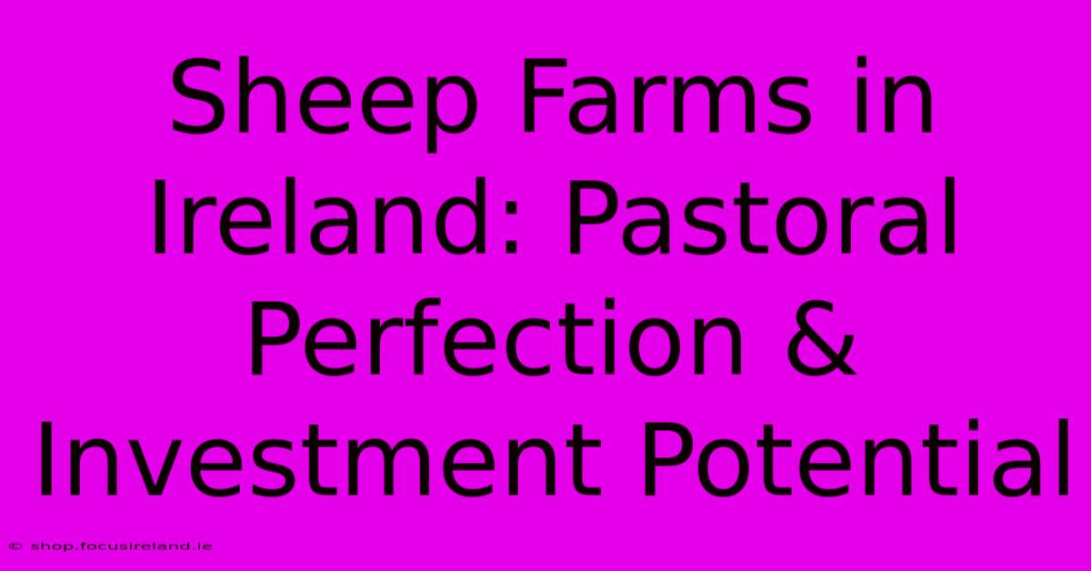 Sheep Farms In Ireland: Pastoral Perfection & Investment Potential