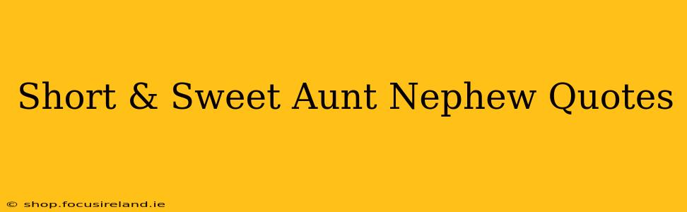 Short & Sweet Aunt Nephew Quotes