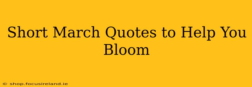 Short March Quotes to Help You Bloom