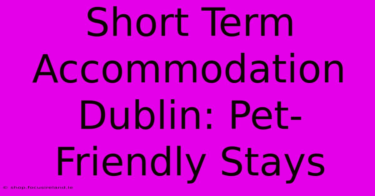 Short Term Accommodation Dublin: Pet-Friendly Stays