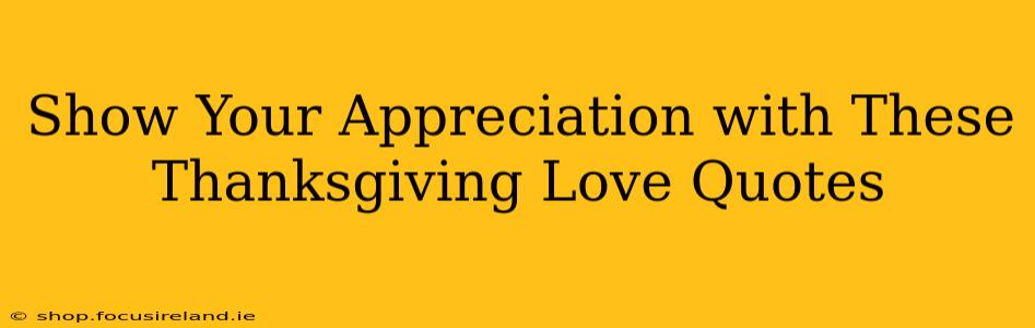 Show Your Appreciation with These Thanksgiving Love Quotes