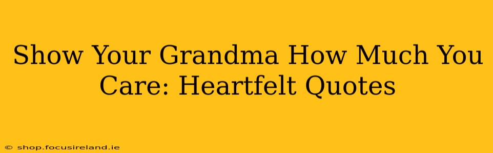 Show Your Grandma How Much You Care: Heartfelt Quotes