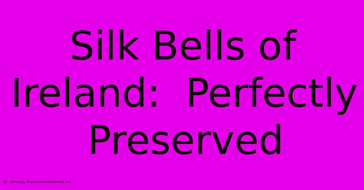 Silk Bells Of Ireland:  Perfectly Preserved