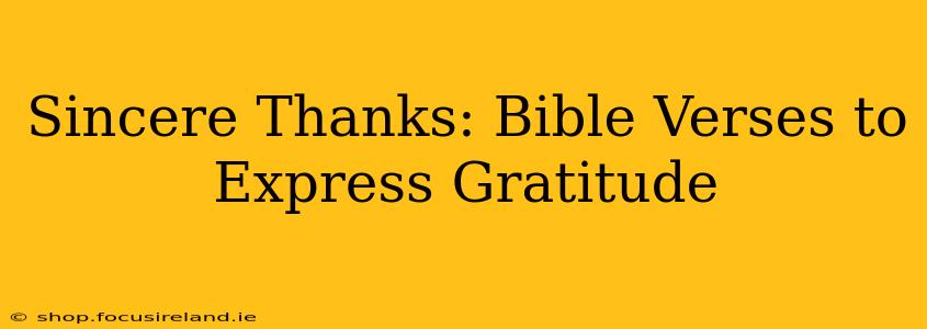 Sincere Thanks: Bible Verses to Express Gratitude