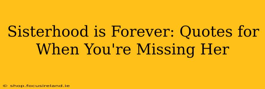 Sisterhood is Forever: Quotes for When You're Missing Her