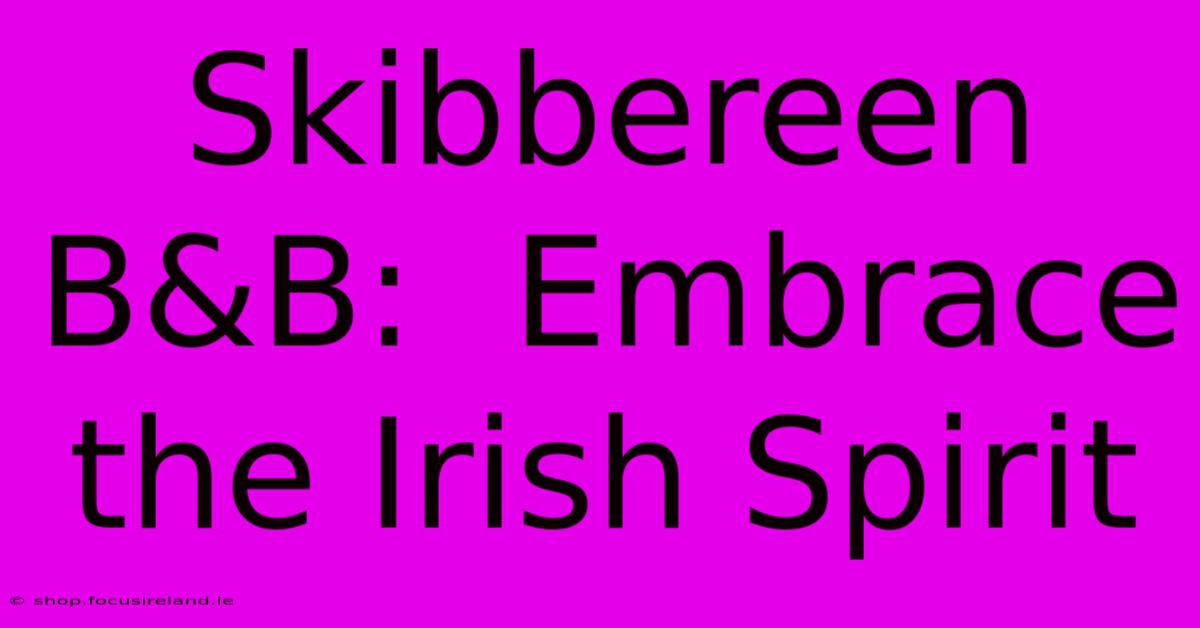 Skibbereen B&B:  Embrace The Irish Spirit