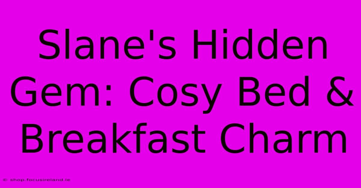 Slane's Hidden Gem: Cosy Bed & Breakfast Charm