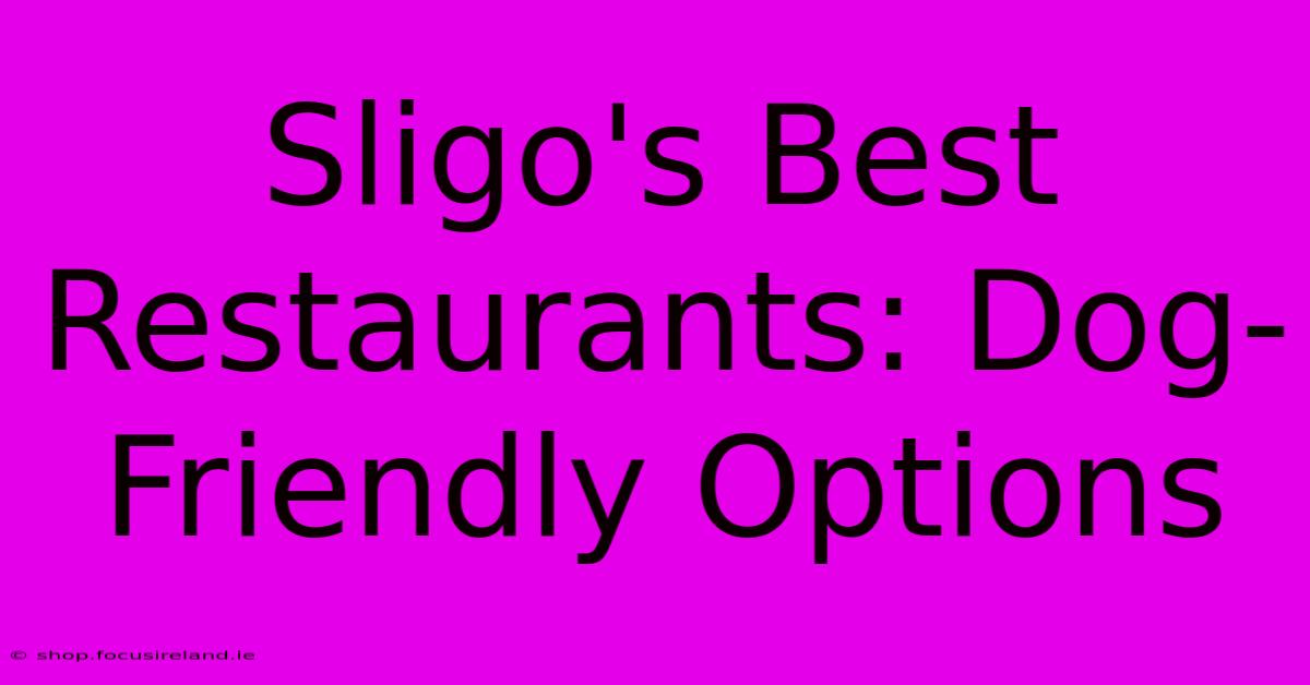 Sligo's Best Restaurants: Dog-Friendly Options