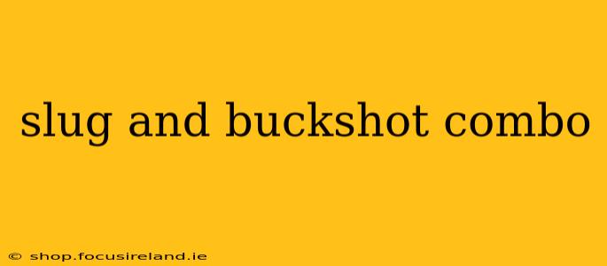 slug and buckshot combo