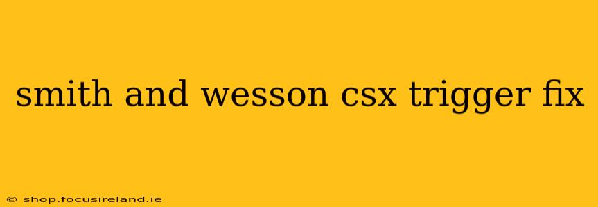 smith and wesson csx trigger fix