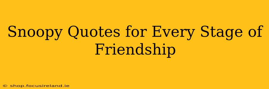 Snoopy Quotes for Every Stage of Friendship