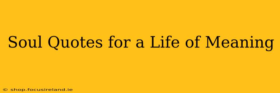 Soul Quotes for a Life of Meaning