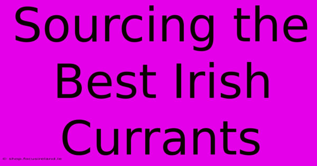 Sourcing The Best Irish Currants