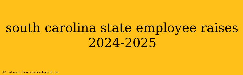 south carolina state employee raises 2024-2025