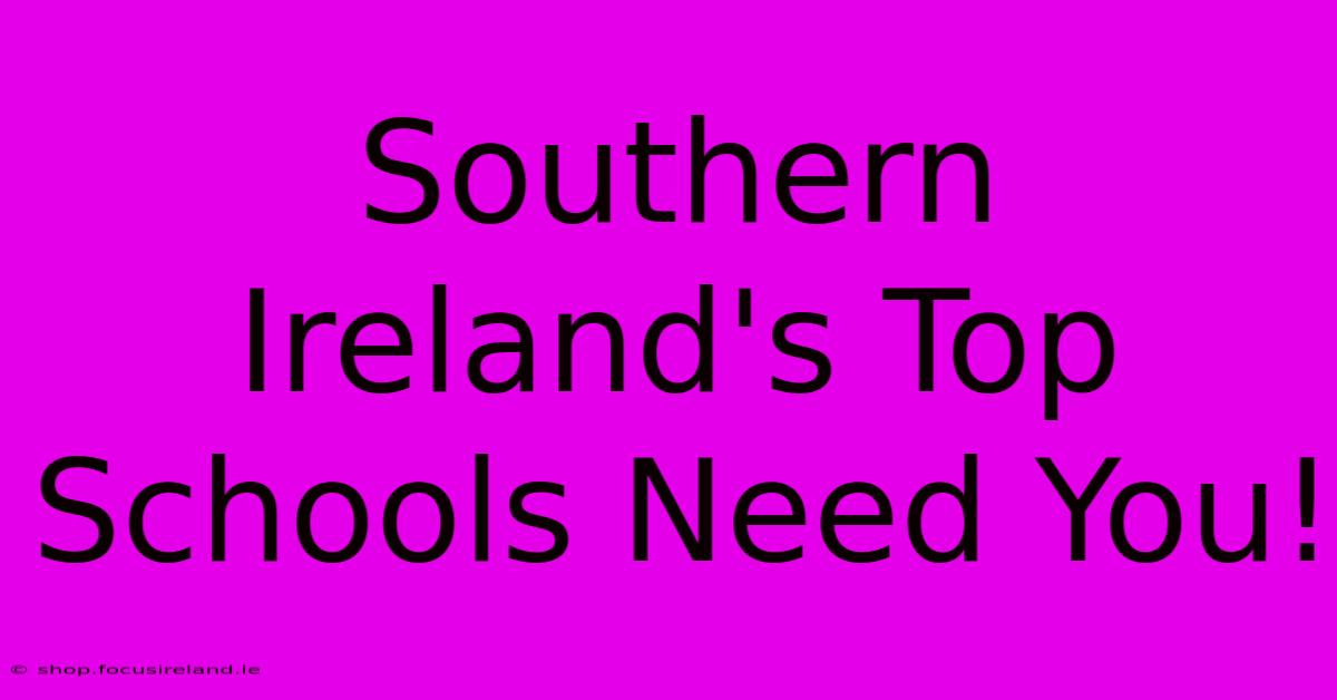 Southern Ireland's Top Schools Need You!