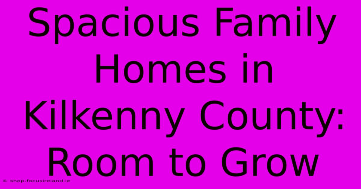 Spacious Family Homes In Kilkenny County: Room To Grow