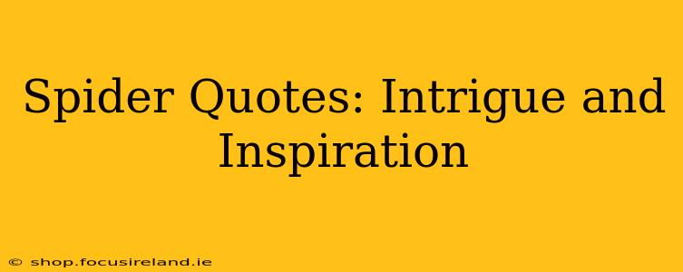 Spider Quotes: Intrigue and Inspiration