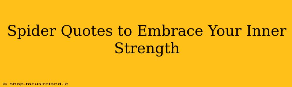 Spider Quotes to Embrace Your Inner Strength