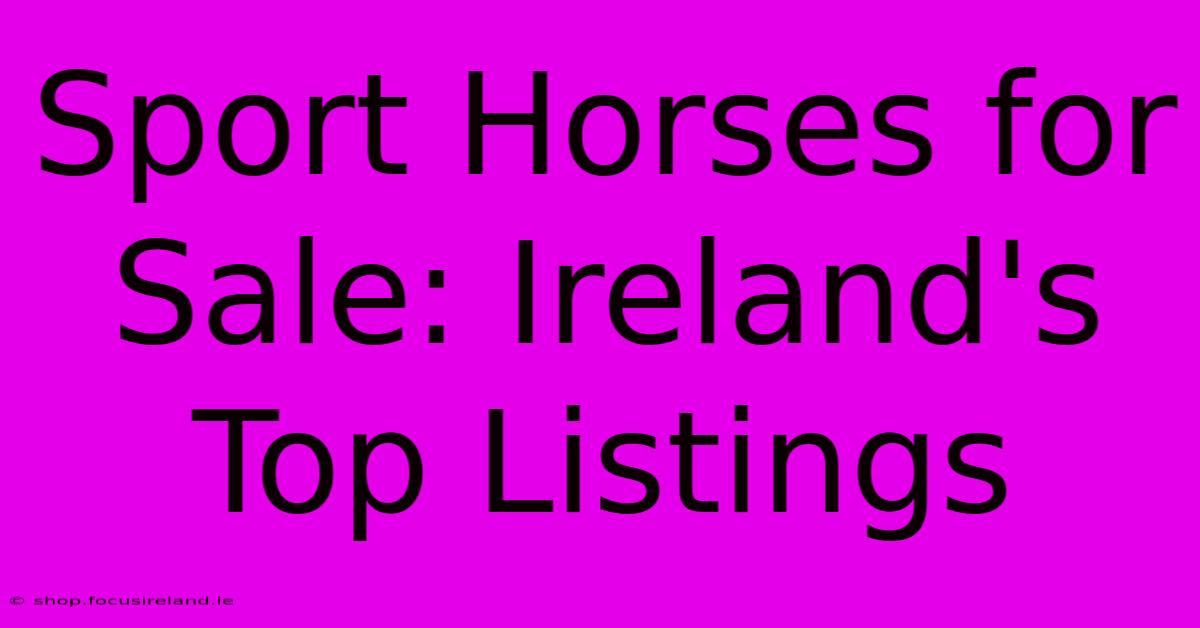 Sport Horses For Sale: Ireland's Top Listings