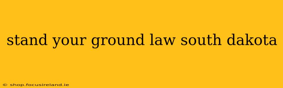 stand your ground law south dakota