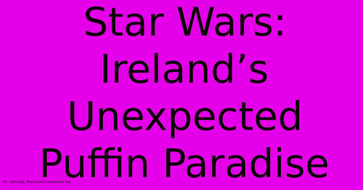 Star Wars: Ireland’s Unexpected Puffin Paradise