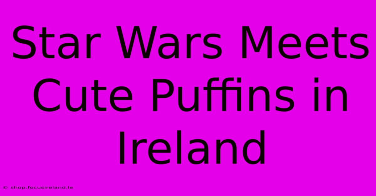 Star Wars Meets Cute Puffins In Ireland