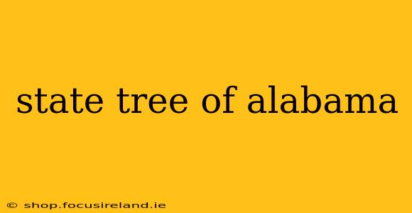 state tree of alabama