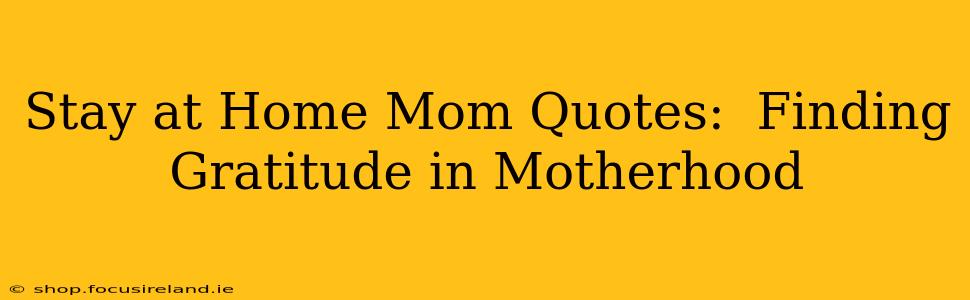 Stay at Home Mom Quotes:  Finding Gratitude in Motherhood