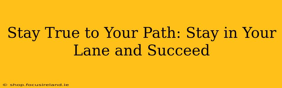 Stay True to Your Path: Stay in Your Lane and Succeed