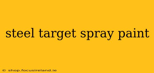 steel target spray paint