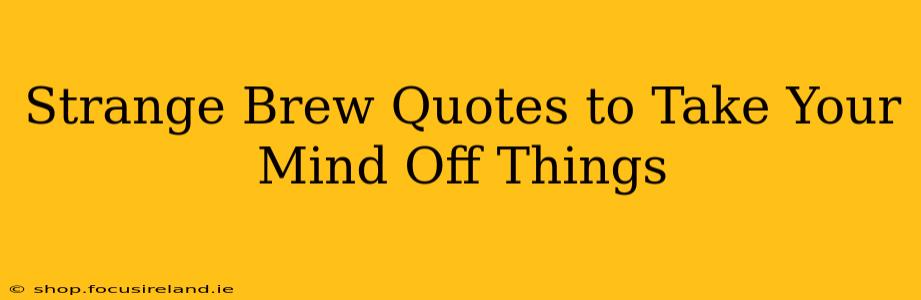 Strange Brew Quotes to Take Your Mind Off Things