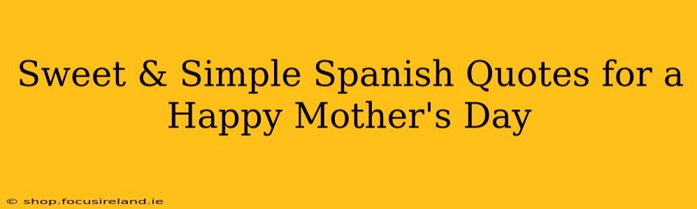 Sweet & Simple Spanish Quotes for a Happy Mother's Day
