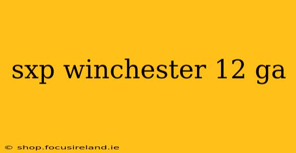 sxp winchester 12 ga