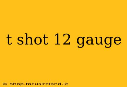 t shot 12 gauge