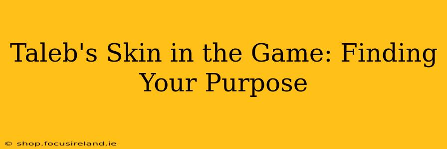 Taleb's Skin in the Game: Finding Your Purpose