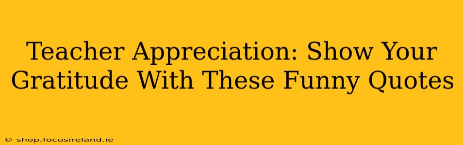 Teacher Appreciation: Show Your Gratitude With These Funny Quotes